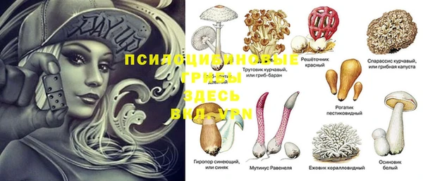 ALPHA PVP Новый Уренгой
