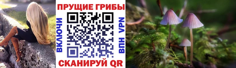 Псилоцибиновые грибы мицелий  Удачный 